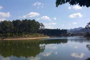 Admire the poetic beauty of the Ban Ang Pine forest in Moc Chau